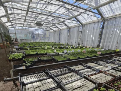 Capture d’écran 2025-09-01 à 15.05.04